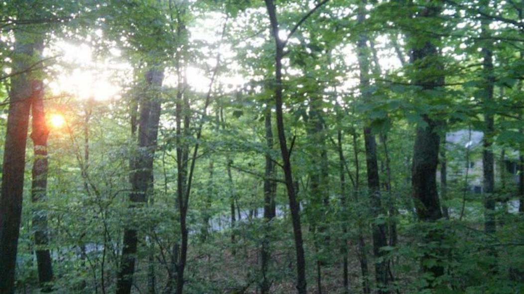 Wintergreen Mount Torry Furnace Exterior foto